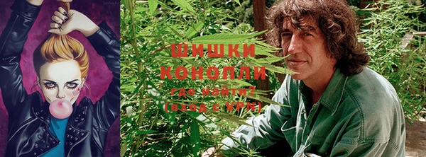 хмурый Покачи