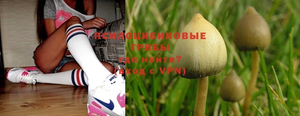 хмурый Покачи