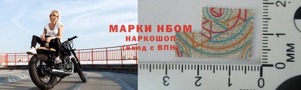 хмурый Покачи