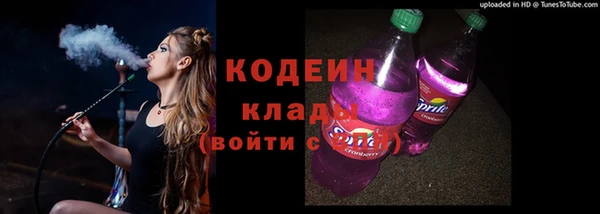 хмурый Покачи