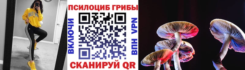 Галлюциногенные грибы Psilocybe Рыбное